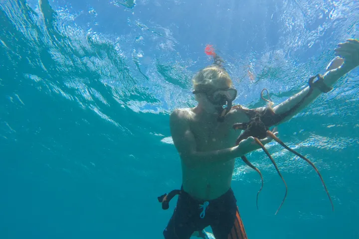 snorkeler holding octopus