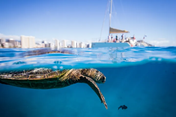 a boat docked next to a body of water