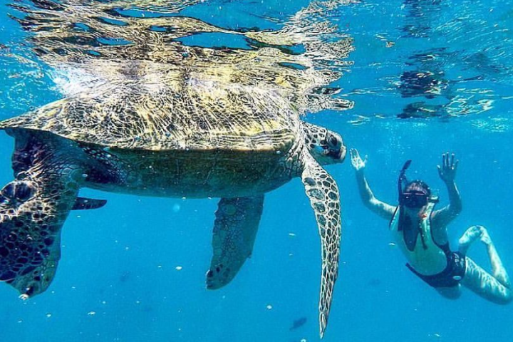 a large pool of water