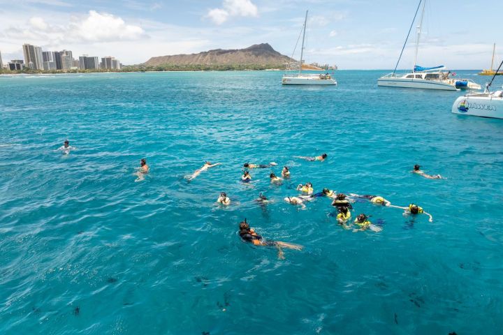 Snorkeling with green sea turtles at Turtle Canyon Waikiki
