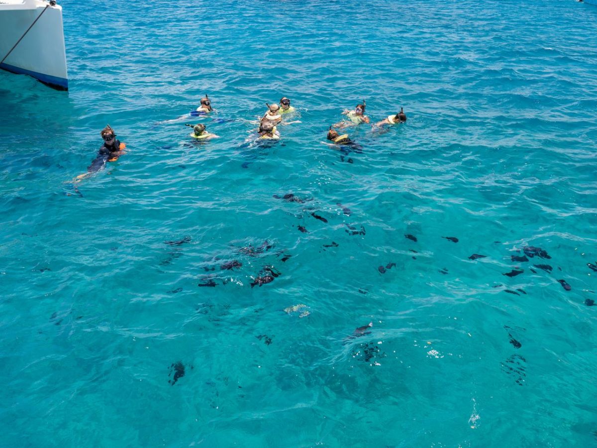 Group snorkeling in clear blue water at Turtle Canyon Holokai Catamaran