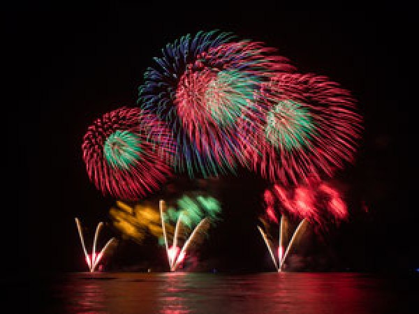 fireworks in the sky