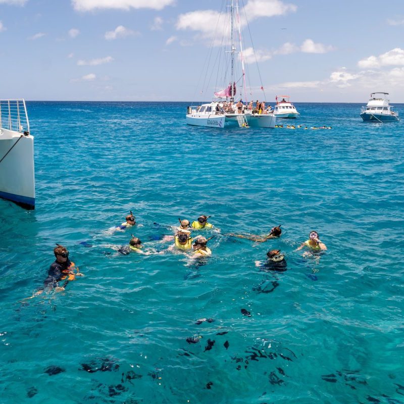 Group of snorkelers near boats in clear blue ocean on a sunny day on the Turtle Canyon private charter with Holokai Catamaran